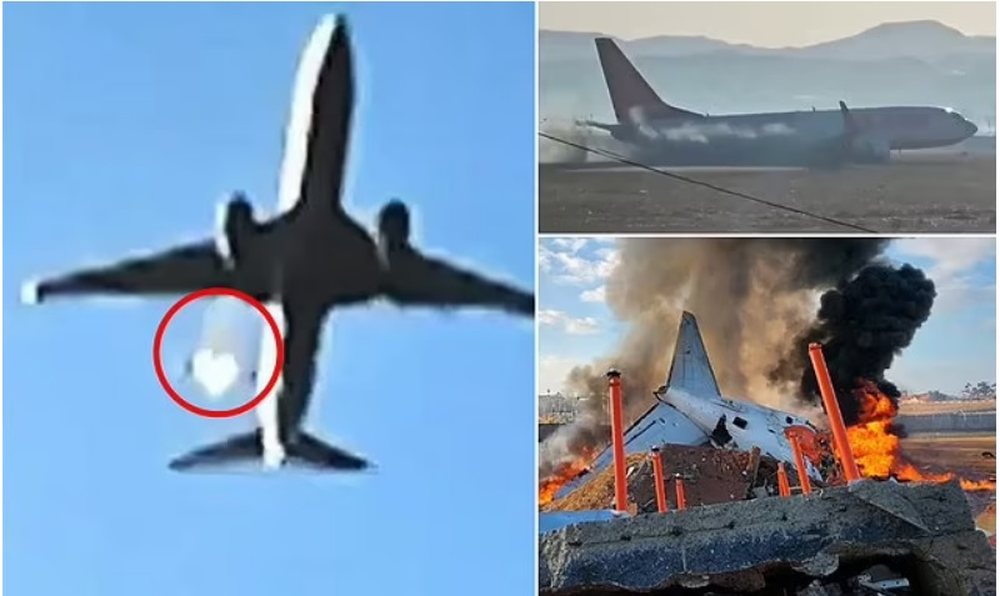 A ishin v&euml;rtet zogjt&euml;? Pik&euml;pyetjet e rr&euml;zimit t&euml;