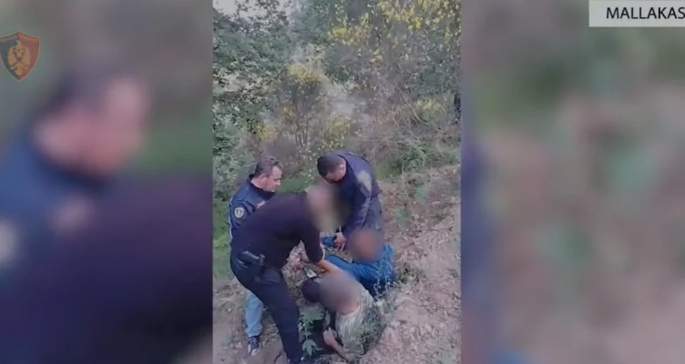 Zbulohen parcelat me rreth 2 mij&euml; rr&euml;nj&euml; kanabis n&euml;