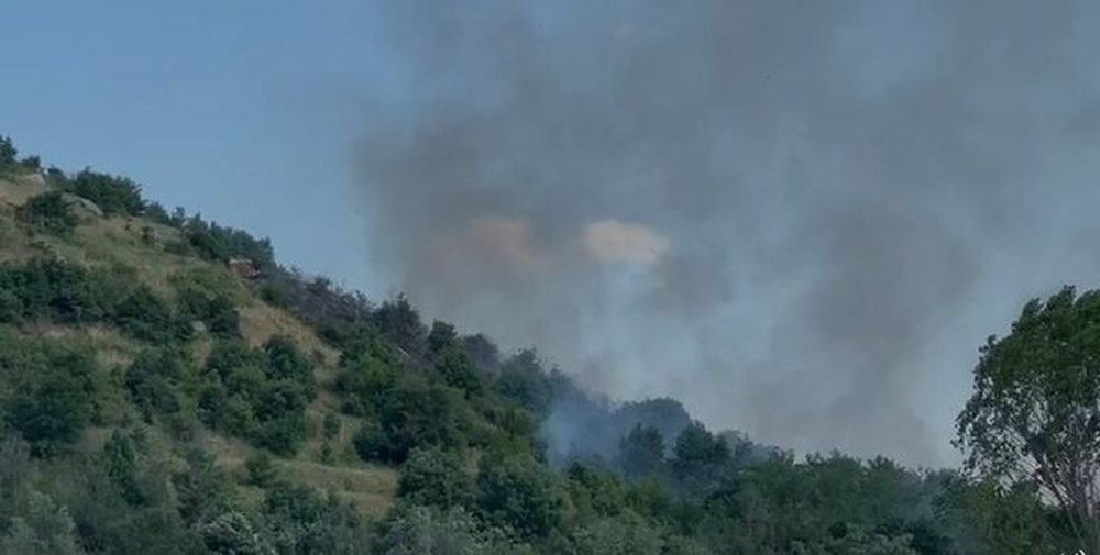Situat&euml; alarmante n&euml; parkun &ldquo;Lur&euml;-Mali i Dej&euml;s&rdquo;,