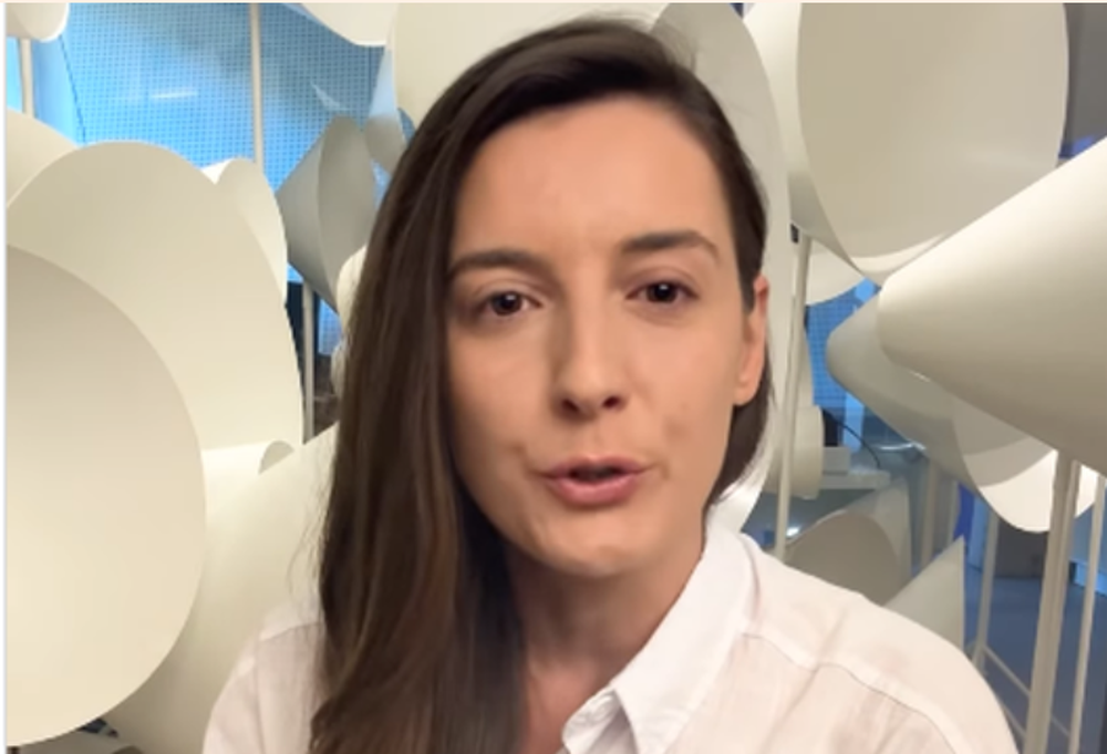 Shihni si reciton Zegjineja tekstin e shkruar nga Rama (VIDEO)