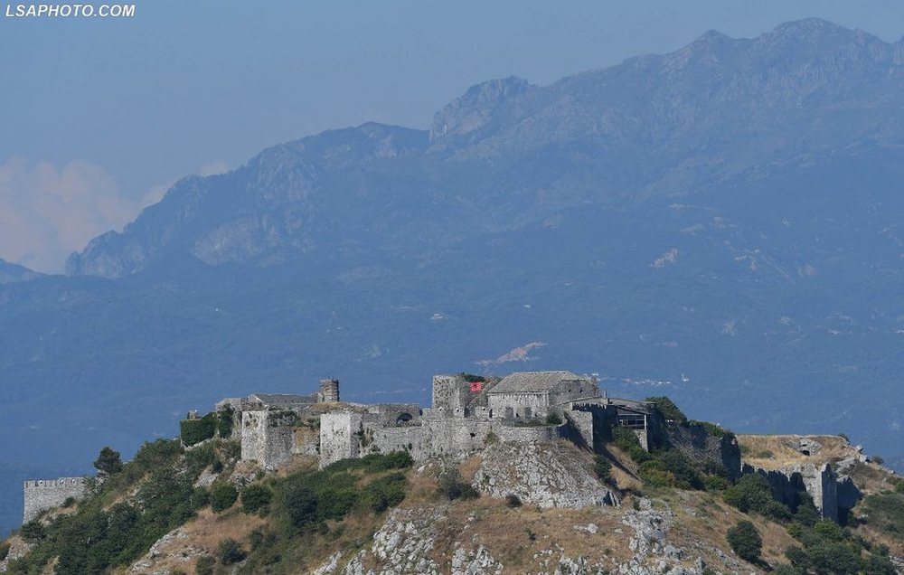 Dh&euml;nia e kalave p&euml;r kafene rrezikon privatizimin e