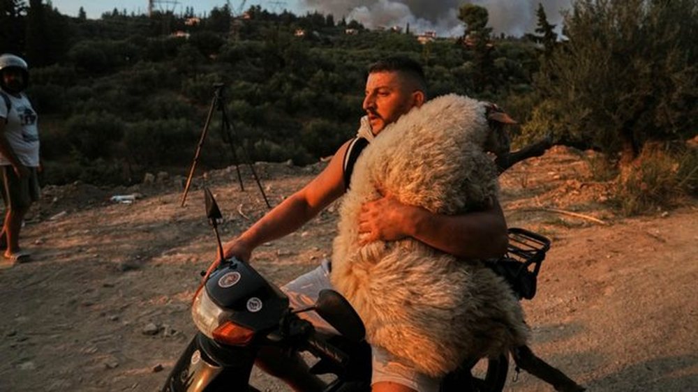 Shp&euml;toi delen nga zjarri n&euml; Greqi, kush &euml;sht&euml; shqiptari nga