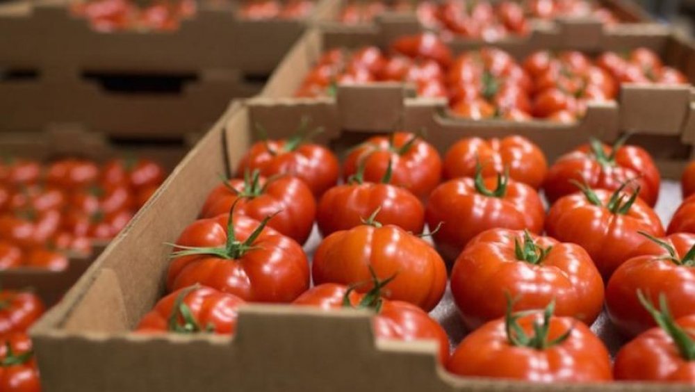 Domatet me pesticide/ Arrestohet pronari i kompanis&euml; dhe inspektor&euml;t e