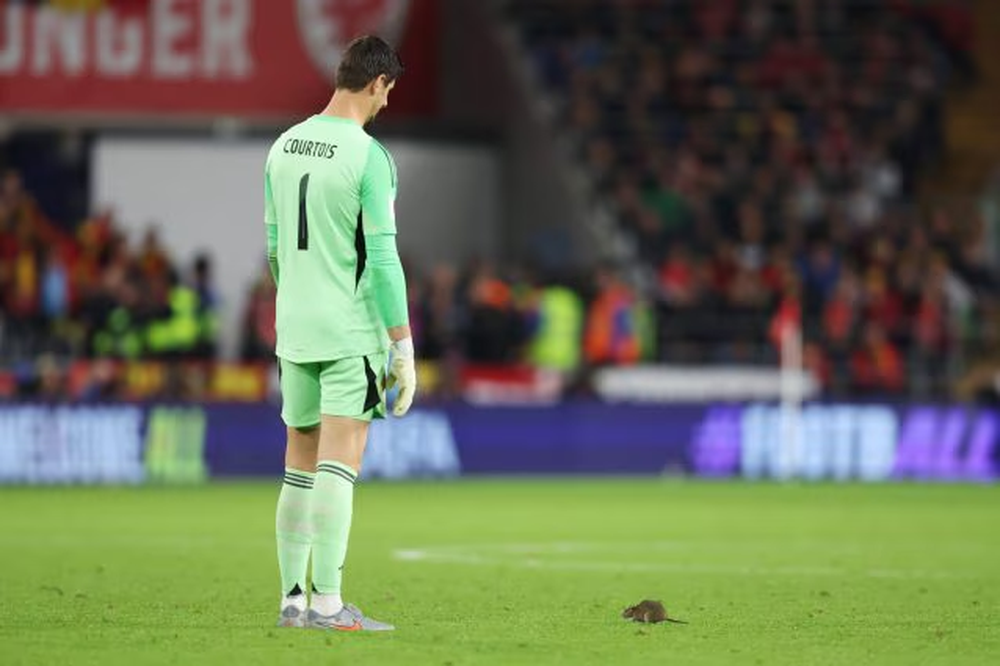 Miu hyn n&euml; fush&euml; n&euml; Uells-Belgjik&euml;: Courtois mundohet ta