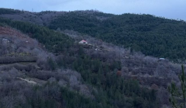LAJM I FUNDIT/ Vetëdorëzohen 2 personat e armatosur në Orosh të Fushë Arrëzit - Lapsi.al