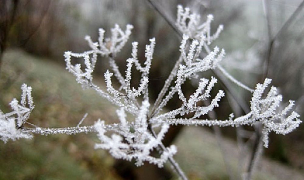 N&euml; zonat malore priten reshje d&euml;bore, r&euml;nie temperaturash n&euml;