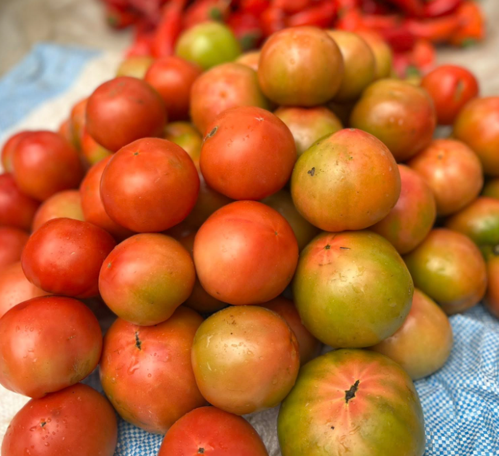 &Ccedil;menduri me &ccedil;mimet/ Specat deri n&euml; 500 lek&euml;/kg, domatet
