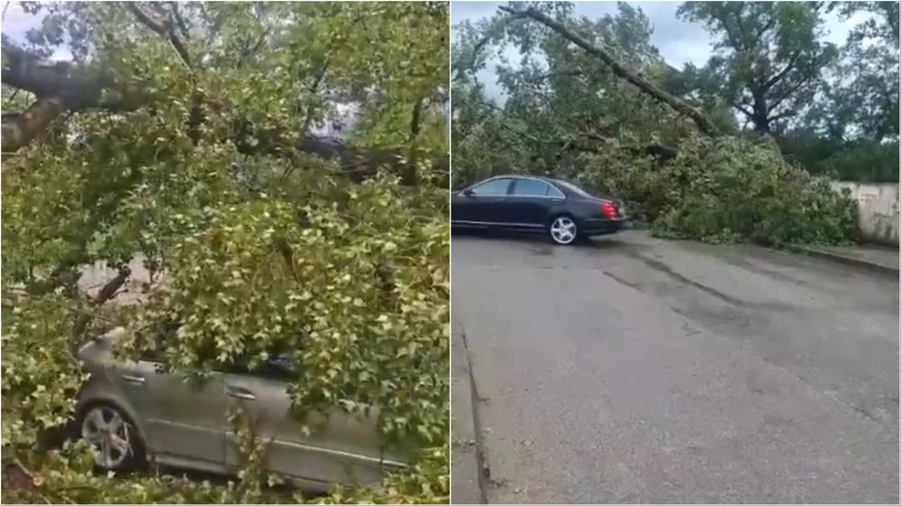 Krijohen probleme n&euml; qarkullim n&euml; zon&euml;n e Plepave n&euml;