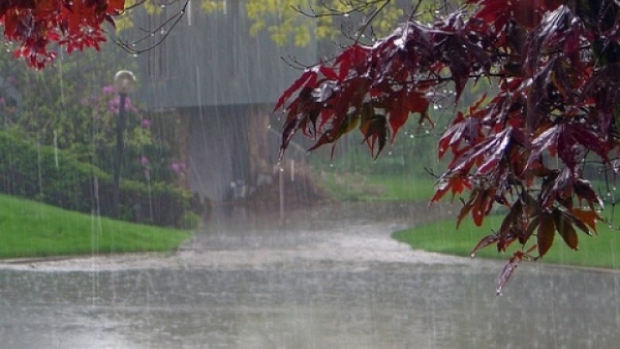 Reshje shiu dhe temperatura deri në 16 gradë Celcius/ Parashikimi i