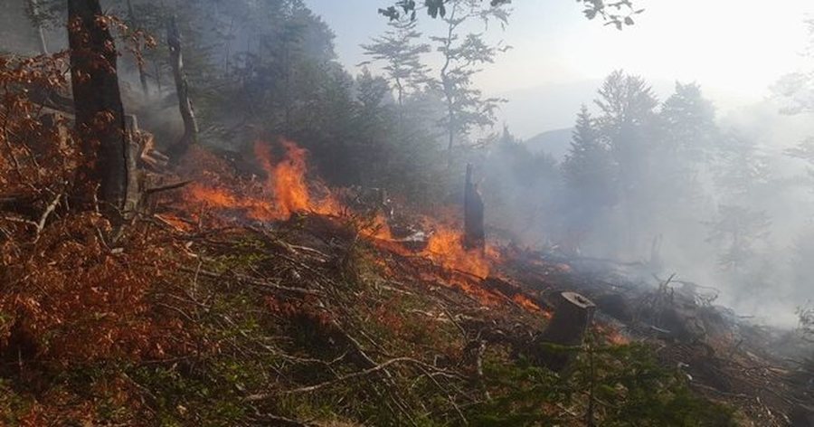 Vatra zjarri edhe në Bulqizë, flakët përhapen me