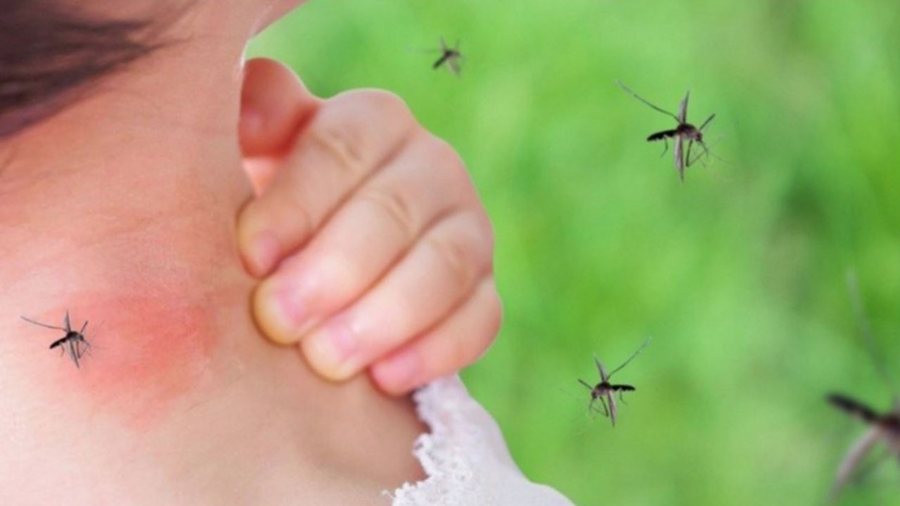 Virusi i Nilit Perëndimor shkakton 10 viktima në Itali! Rritet rreziku