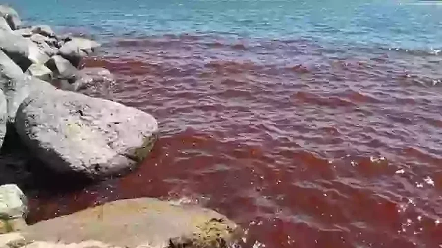 Deti i Galilesë kthehet në ngjyrë të kuqe, vendasit e