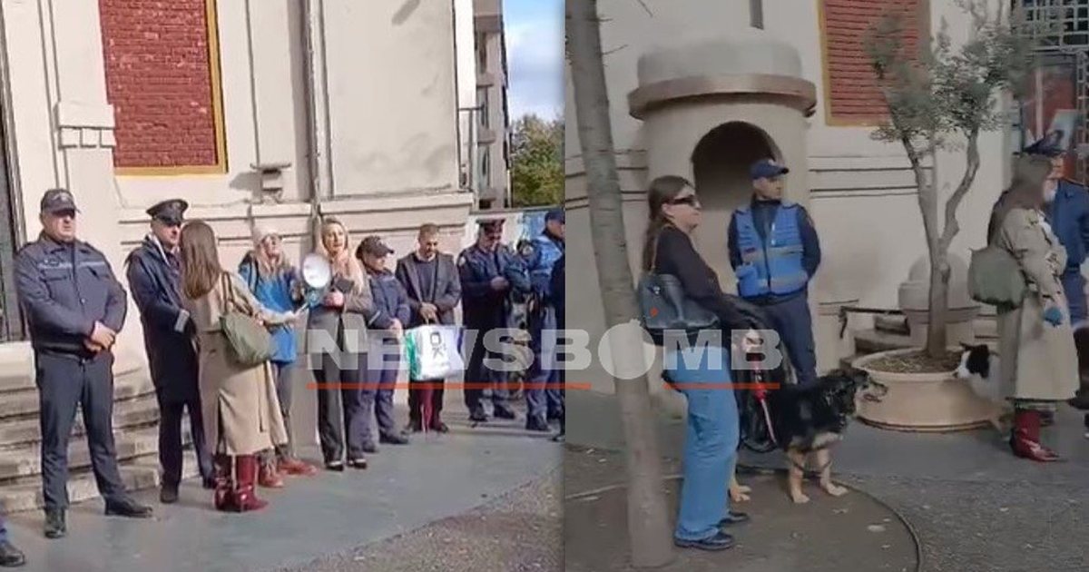 Helmimi i qenve endacakë në kryeqytet, qytetarë dhe aktivistë protestojnë para Bashkisë së Tiranës: Turp, turp, nuk është kjo zgjidhja