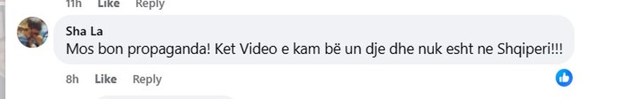 “Pse bëni propagandë?” Balena e cila u tha se po notonte