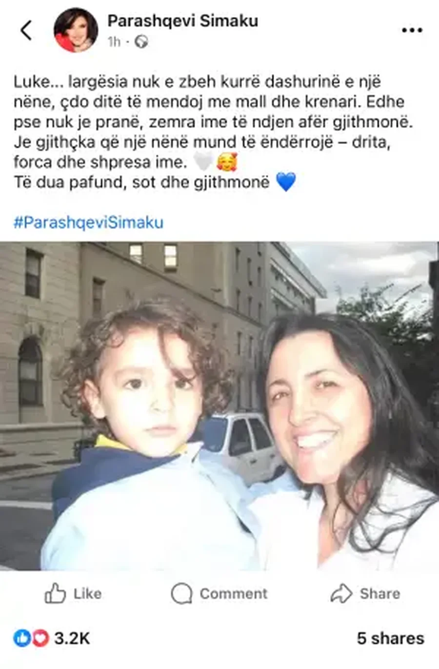 Malli i Parashqevi Simakut për të birin: Je gjithçka që