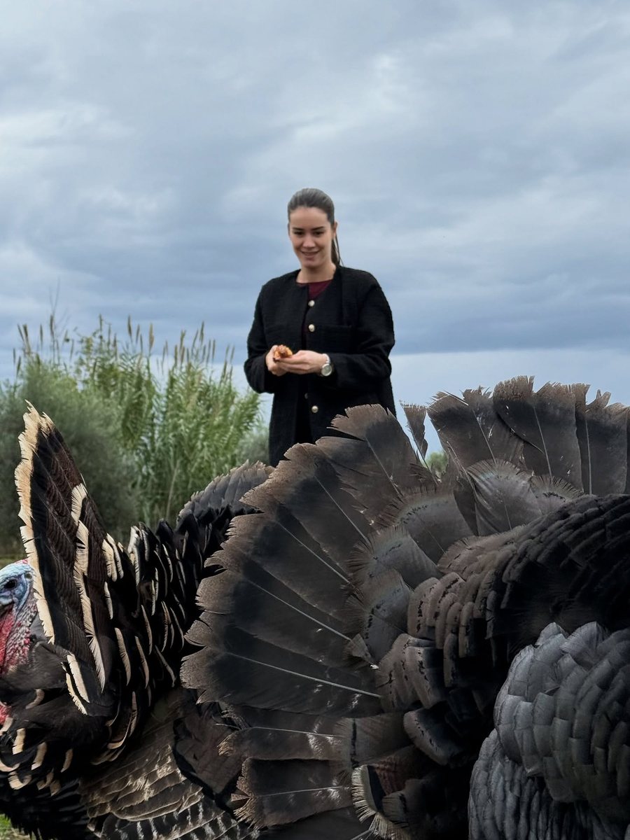 Deputetja e PS: Sot e kalova ditën me gjelat e detit, mezi pres t’i