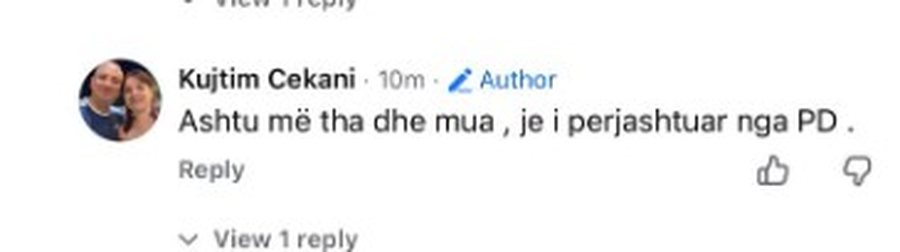 SHERRI mes demokratëve në Kamëz, gruaja që Noka iu