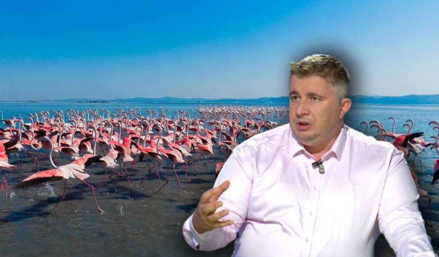 Ra ky flamingo dhe u pam&euml;!