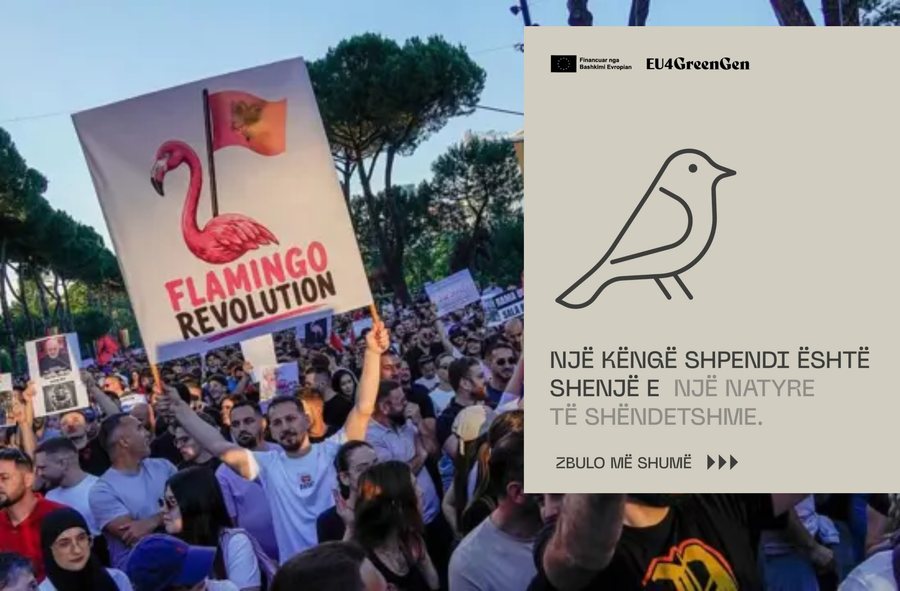 Protesta kund&euml;r projektit t&euml; Zv&euml;rnecit futet n&euml; dit&euml;n e