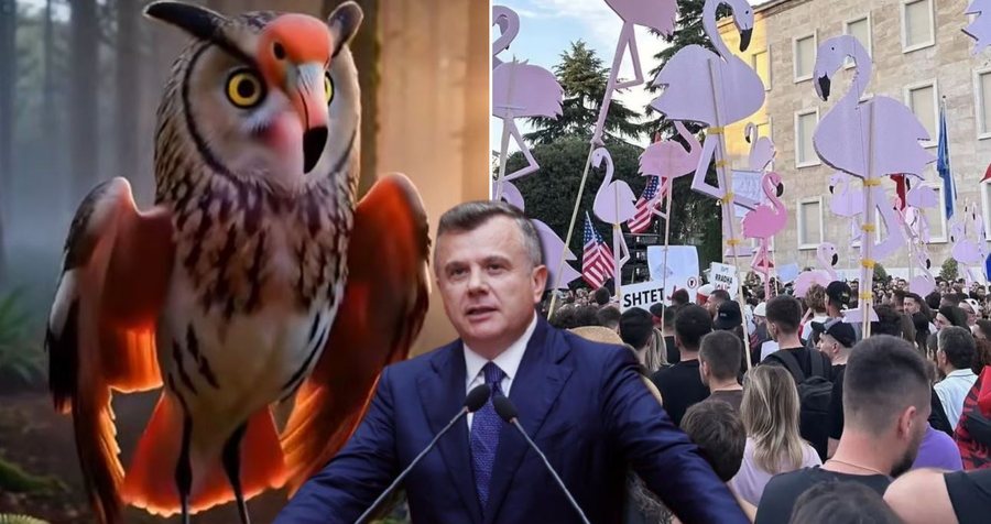 Demokrat&euml;t propozuan k&euml;rkesat e protestuesve n&euml; Kuvend, Taulant