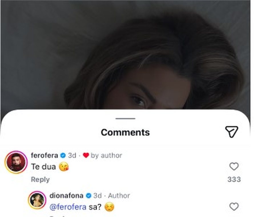 A ka di&ccedil;ka mes tyre? Komentet e Feros dhe Diona Fona