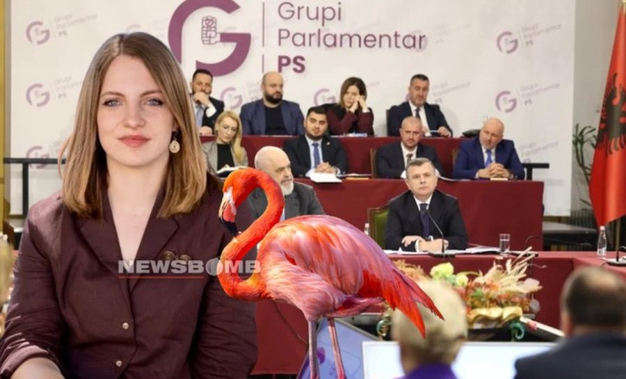 Marjana Ko&ccedil;eku &ldquo;zhduket&rdquo; nga radar&euml;t e