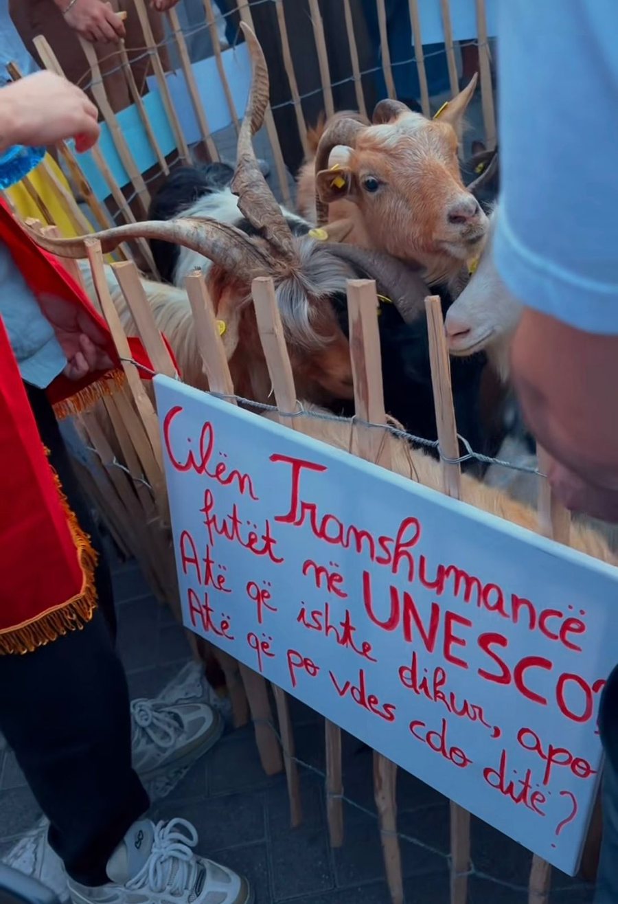 Tufa e dhive i bashkohet protest&euml;s s&euml; qytetar&euml;ve n&euml;