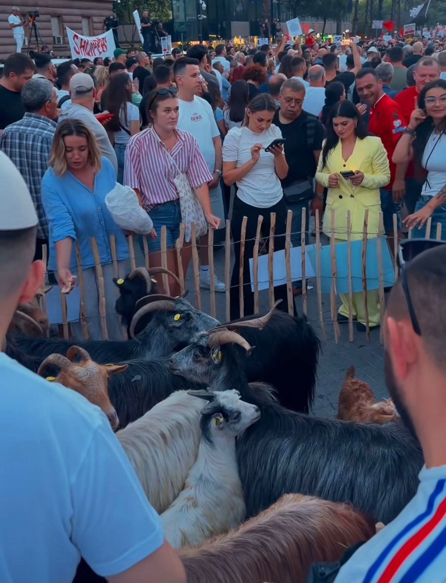 Tufa e dhive i bashkohet protest&euml;s s&euml; qytetar&euml;ve n&euml;