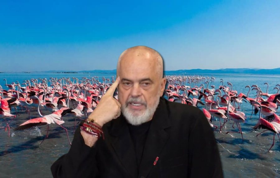 &ldquo;Disa tam-tamxhinj mendojn&euml; se mor&euml;n fitoren e par&euml;