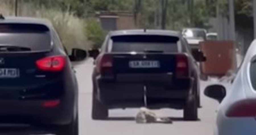 VIDEO/ Skandal n&euml; Kavaj&euml;, qeni lidhet pas makine dhe t&euml;rhiqet