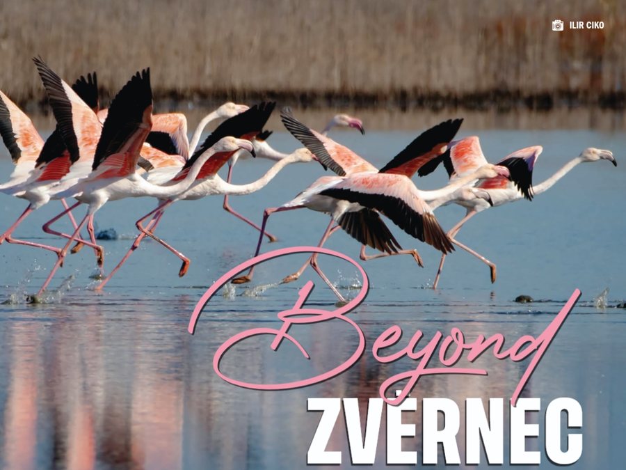 P&euml;rtej Zv&euml;rnecit!