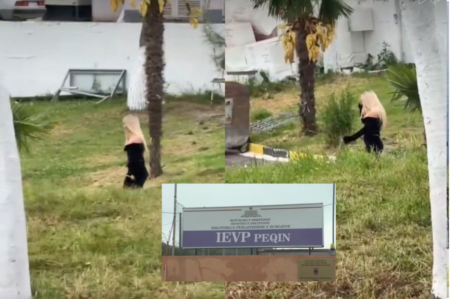 U takua me dy t&euml; d&euml;nuar, kush &euml;sht&euml; vajza bjonde q&euml; u
