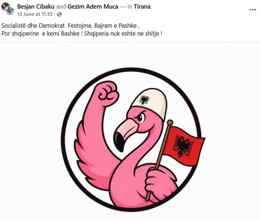 &ldquo;Edhe drurit i &euml;sht&euml; dhimbsur!&rdquo; Vdes n&euml; mosh&euml;