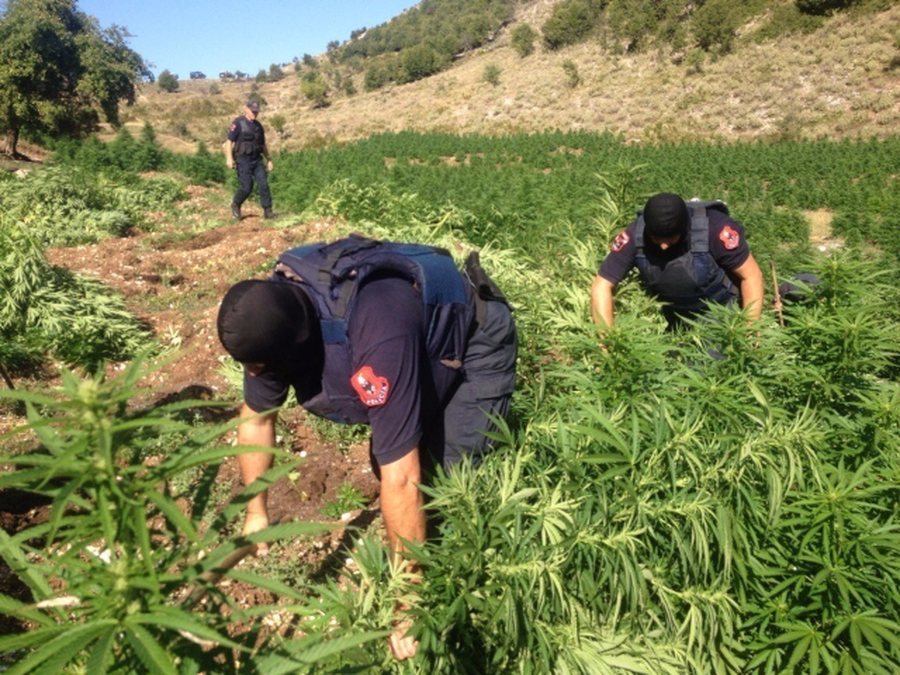 Operacion i madh n&euml; Kruj&euml;, 15 grupe policie zbarkojn&euml; n&euml;