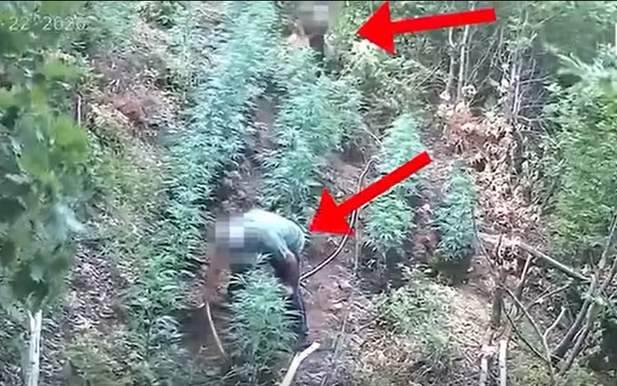 Prangosen v&euml;lla e mot&euml;r n&euml; Vaun e Dej&euml;s, Policia i zbulon