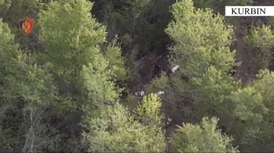 Kishin kultivuar bim&euml; narkotike n&euml; Kurbin, policia kap "mat"