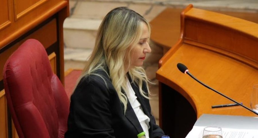 Aplikimi p&euml;r kredi t&euml; but&euml; n&euml; Tiran&euml;, Ristani: Rreth