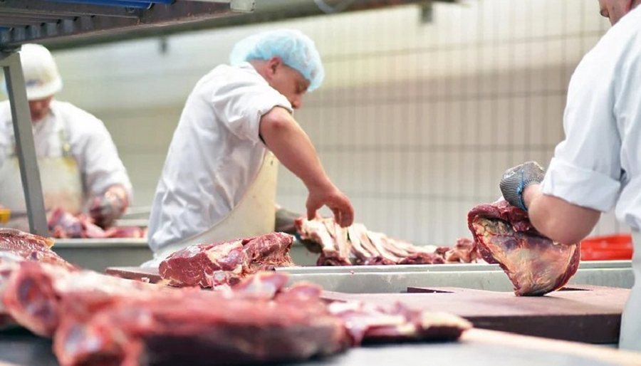 Fieri "kryeqyteti" i mishit, prodhon 26.2 mij&euml; ton&euml; n&euml;