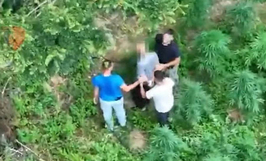 Fshatrat e Shkodr&euml;s t&euml; mbushur me drog&euml;, Policia asgj&euml;son me