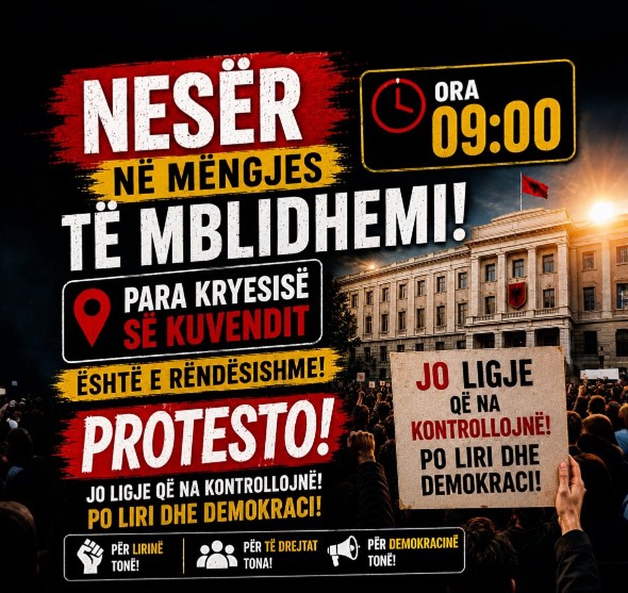 &ldquo;Revolucioni Flamingo&rdquo;, nj&euml; grup protestuesish mblidhen