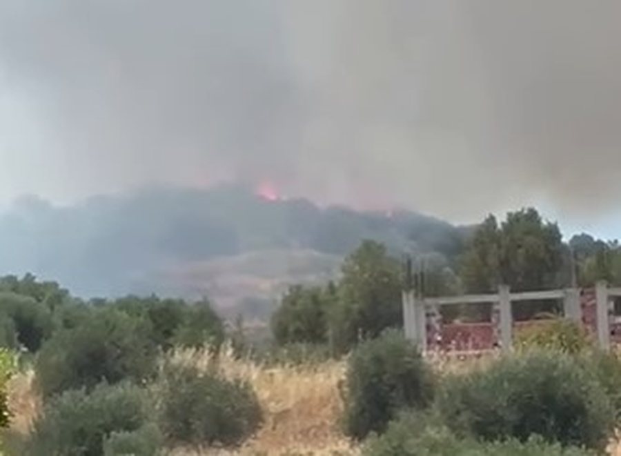 Zjarr pran&euml; fshatit Llakatund n&euml; Vlor&euml;, flak&euml;t po