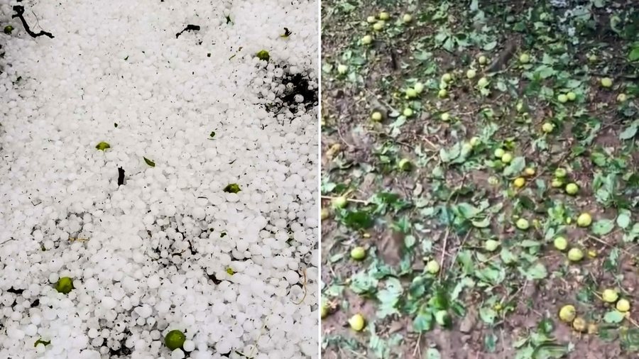 Stuhia p&euml;rfshin zonat malore t&euml; Elbasanit, bresh&euml;ri d&euml;mton