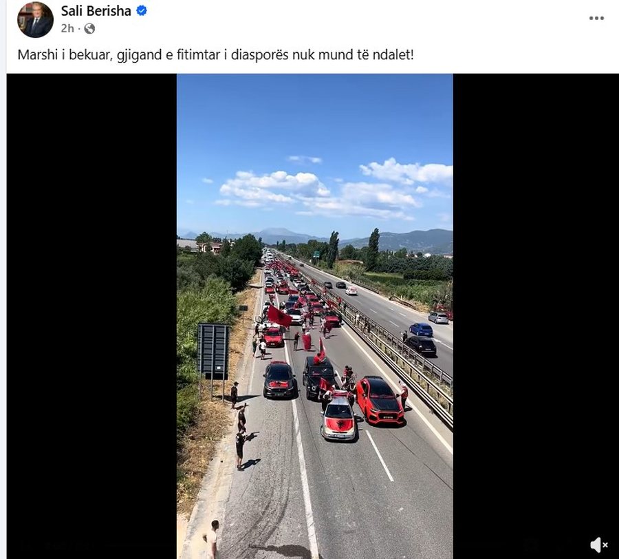 Diaspora vjen n&euml; atdhe, Opozita "vrapon" pas tyre n&euml; rrjetet