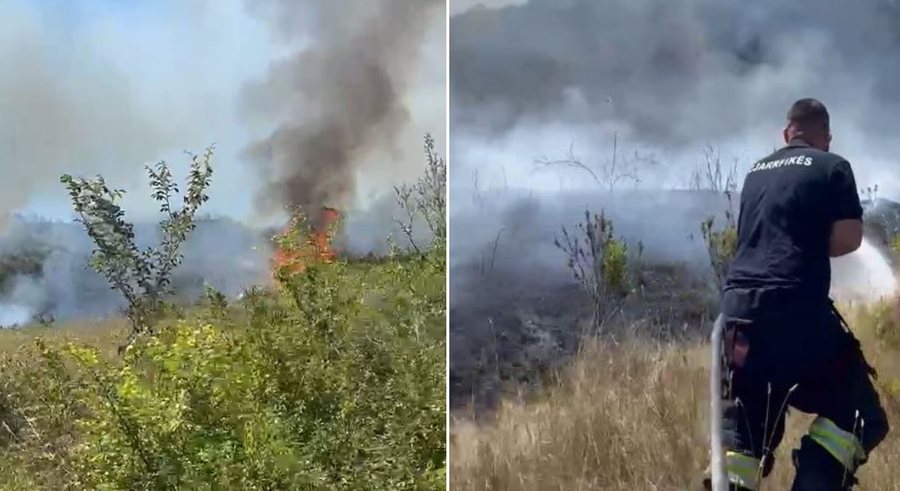 Rindizet zjarri n&euml; Synej t&euml; Kavaj&euml;s, forcat zjarrfik&euml;se dhe