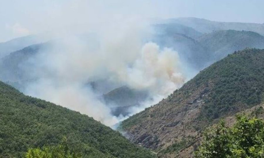 P&euml;rfshihet nga flak&euml;t nj&euml; sip&euml;rfaqe me bim&euml;si n&euml;