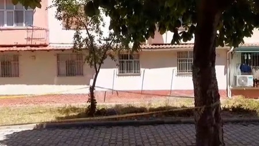 &ldquo;K&euml;rcet&rdquo; thika  mes fqinj&euml;ve pran&euml; shkoll&euml;s