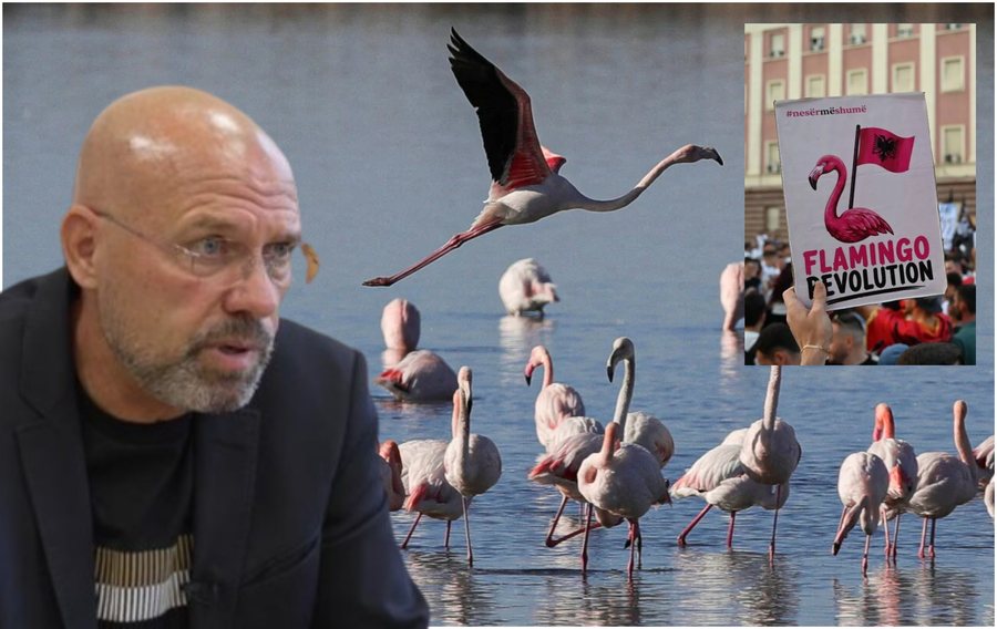 &ldquo;Investitor&euml;t jan&euml; mbrojt&euml;sit m&euml; t&euml; m&euml;dhenj