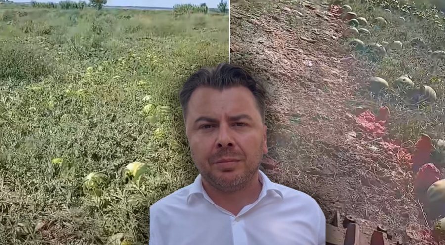Fermeri i Divjak&euml;s fut zetorin mes p&euml;r mes ar&euml;s 1.5 hektar&euml;