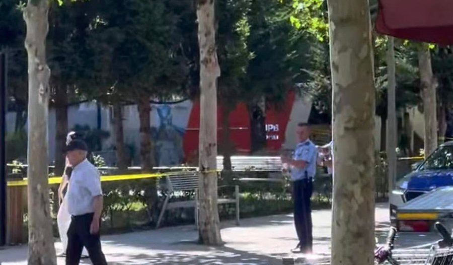 Adoleshenti plagosi dy qytetar&euml; dhe tre efektiv&euml;, Policia e