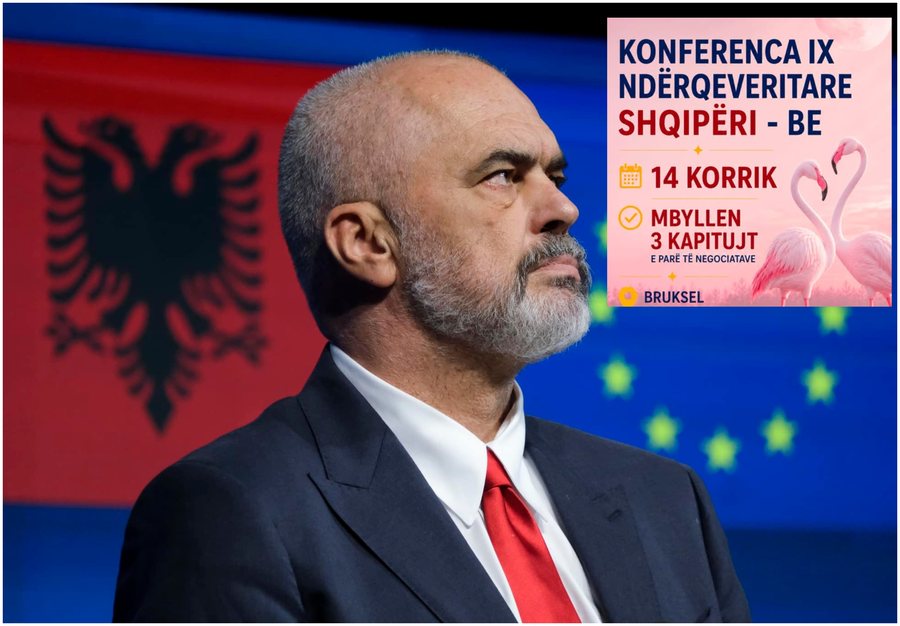 Dy flamingo n&euml; sfond, Rama reagon p&euml;r mbylljen e tre kapitujve t&euml;
